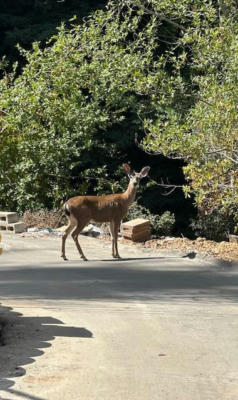 0 GLENWOOD, LOS GATOS, CA 95033, photo 5 of 6