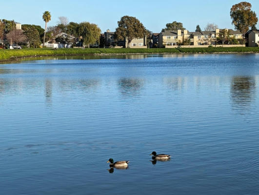 152 BEACH PARK BLVD, FOSTER CITY, CA 94404 - Image 1